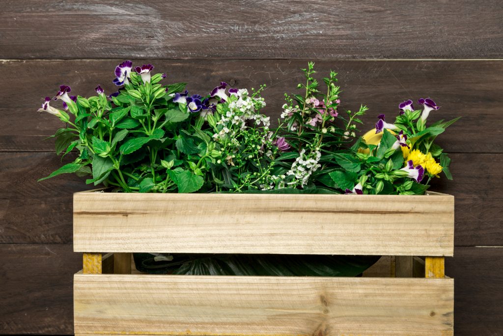 Drevené kvetináče ako originálna praktická dekorácia - wooden box with garden flowers