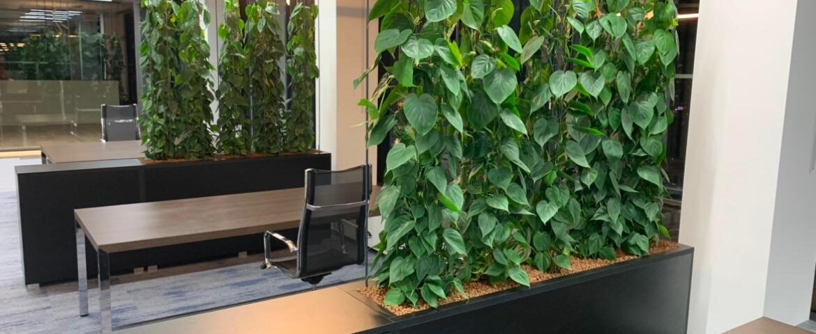 interiérová zeleň